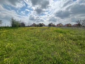 Teren 2117 mp în Malu Mare, cadru natural cu pârâu - imagine 6