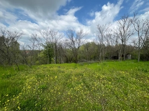 Teren 2117 mp în Malu Mare, cadru natural cu pârâu - imagine 8