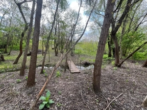 Teren 2117 mp în Malu Mare, cadru natural cu pârâu