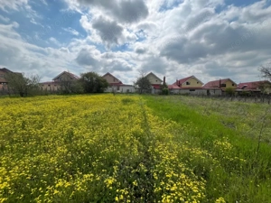 Teren 2117 mp în Malu Mare, cadru natural cu pârâu - imagine 5