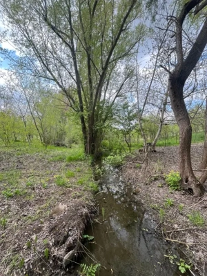 Teren 2117 mp în Malu Mare, cadru natural cu pârâu - imagine 3