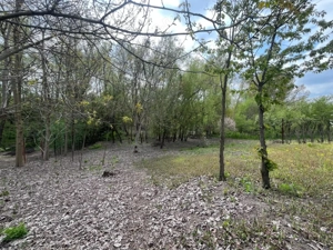 Teren 2117 mp în Malu Mare, cadru natural cu pârâu - imagine 9