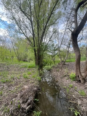 Teren 2117 mp în Malu Mare, cadru natural cu pârâu - imagine 4