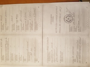 Barca cabinata cu motor SUZUKI 70 si peridoc - imagine 9