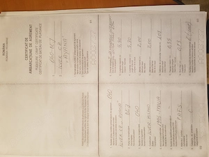 Barca cabinata cu motor SUZUKI 70 si peridoc - imagine 10