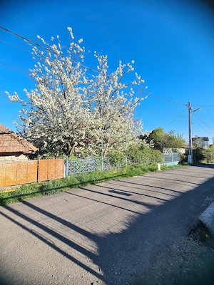 Vând teren cu casă veche 