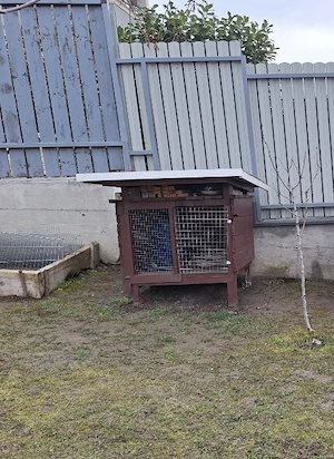 Vând 2 custi de iepure - imagine 3