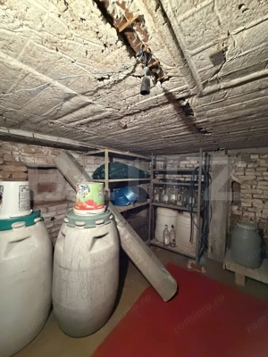 Casa pe parter, 115 mpc, 4505 mp teren, zona Bogea-Almaj - imagine 13