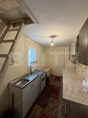 Casa pe parter, 115 mpc, 4505 mp teren, zona Bogea-Almaj - imagine 7