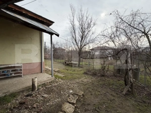 Casa pe parter, 115 mpc, 4505 mp teren, zona Bogea-Almaj - imagine 9