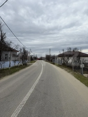 Casa pe parter, 115 mpc, 4505 mp teren, zona Bogea-Almaj - imagine 3