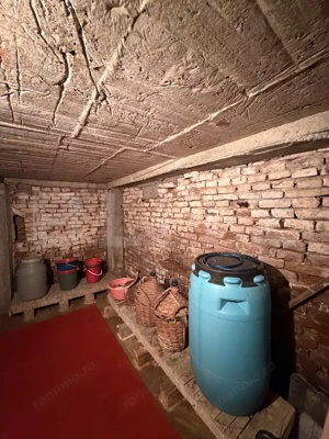 Casa pe parter, 115 mpc, 4505 mp teren, zona Bogea-Almaj - imagine 14