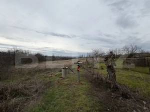 Casa pe parter, 115 mpc, 4505 mp teren, zona Bogea-Almaj - imagine 18