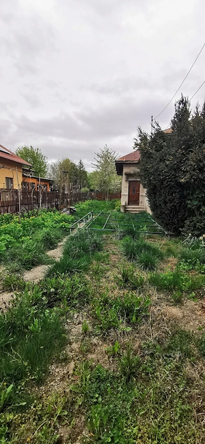 Titu stradal DN7, zona centrala - de vanzare casa trei camere, baie, bucatarie si teren 1500mp - imagine 2