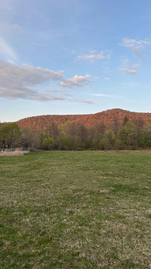 Vând teren 5.022 mp la poalele Munților Făgăraș, Comuna Hârseni, Valea Sebeșului zona de cabane
