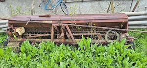 semanatoare de grau - imagine 2