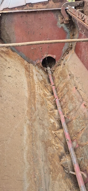 semanatoare de grau - imagine 3