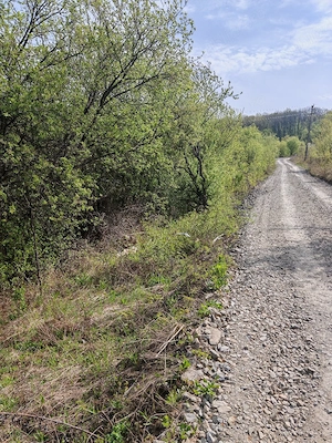 Oportunitate de investiție  - imagine 2