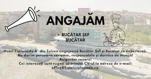 Hotel Esplanada 4* Tulcea angajează Bucătar Șef și Bucătar cu experiență