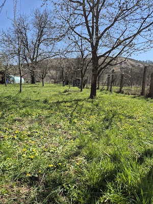 Teren intravilan de vânzare Luna de Sus