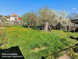 Casă primitoare în Turda Nouă   733 mp Teren, Zonă Liniștită - imagine 6