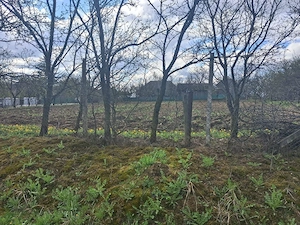 Vand teren intravilan 2800 m2 - Sat Botesti - comuna Horodniceni - jud Suceava.