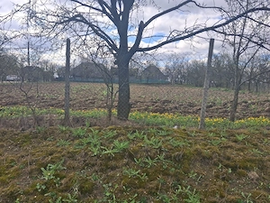 Vand teren intravilan 2800 m2 - Sat Botesti - comuna Horodniceni - jud Suceava. - imagine 2