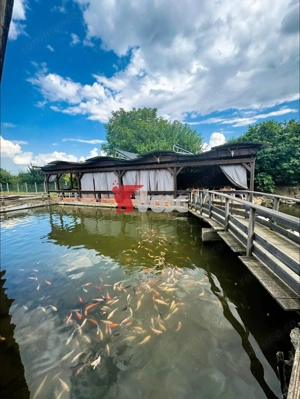 Oportunitate unică de investiție – Complex piscicol cu restaurant - imagine 10