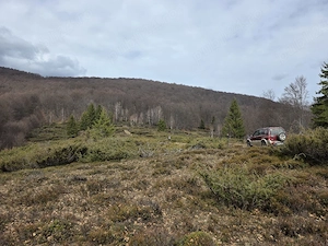 De vânzare: 9690 mp de rai in Muntii Apuseni