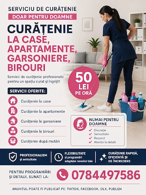 Ofer servici de curatenie pt doamne si famili 