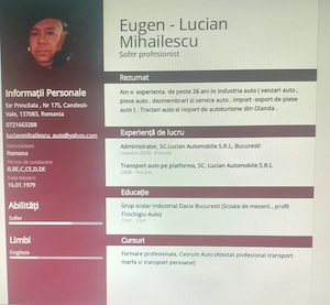 Caut loc de munca Tur - Retur categoria B , BE sau categoria D pe microbuz .