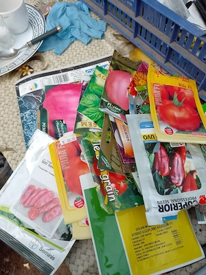 Vand rasaduri pentru solar si gradina