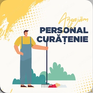 Angajăm Cameristă   Pensiunea Octavian 