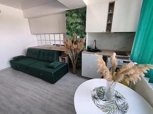 Studio nou langa plaja - imagine 2