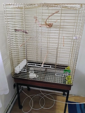 accesorii pentru papagali 