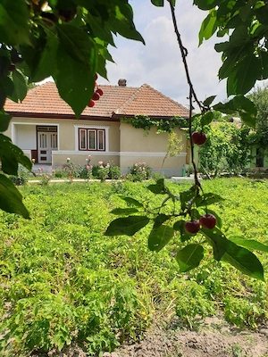 Vânzare casă Adâncata, IL, gata de locuit