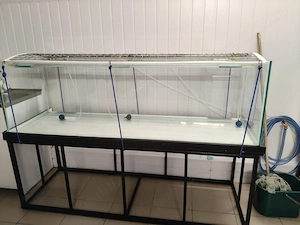 vând acvariu 500 litri