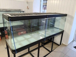 vând acvariu 500 litri