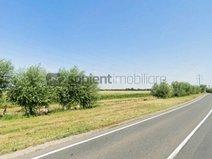 Sapient | Teren industrial-logistic în Episcopia, Oradea - imagine 3