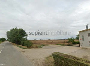 Sapient | Teren logistic & comercial - Oradea, Bihor - imagine 5