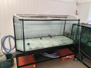 vând acvariu 700 litri