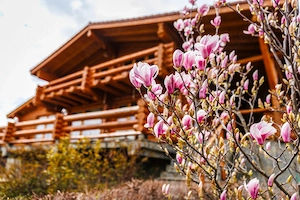 Casa de vacanta  Breaza teren 980 mp   view superb   investiție 