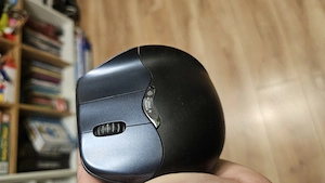Mouse Profesional Ergonomic 