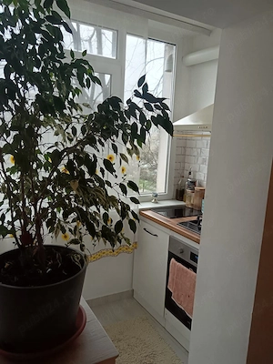 Apartament 3 camere decomandat   Poarta 6 | Etaj 1  - imagine 2