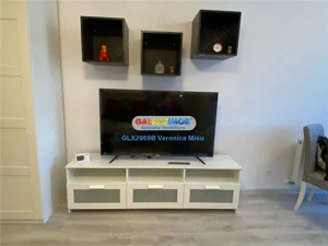 Garsoniera de inchiriat   Hils  Theodor Pallady - imagine 3