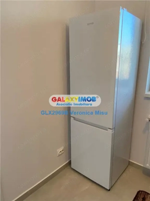 Garsoniera de inchiriat   Hils  Theodor Pallady - imagine 7