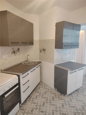 Apartament 2 camere Cismigiu - imagine 18