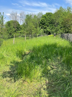 Teren Comarnic podul lung 