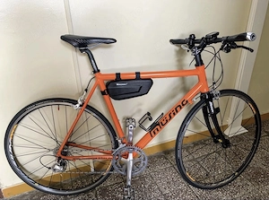 Vând Cursiera MUSING Germania 