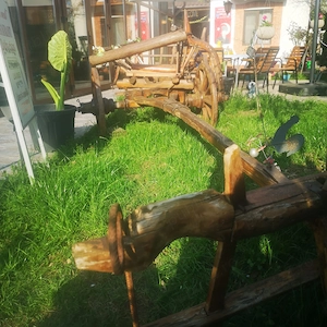 Vand caruta veche de peste 100 de ani